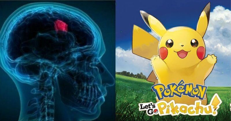 Brain scans reveal a 'pokémon region' in adults who played as kids - The  Verge