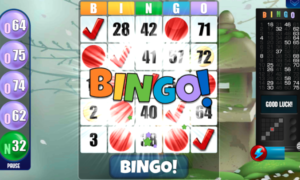 Bingo Apk Android Full Mobile Version Free Download