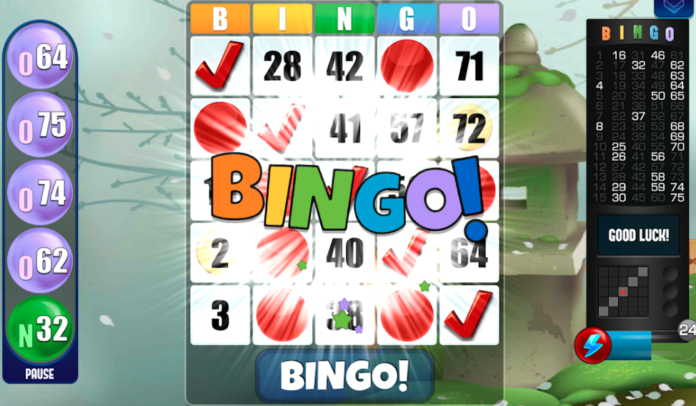 instal the new version for android Pala Bingo USA