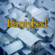 Banished PC Game Latest Version Free Download