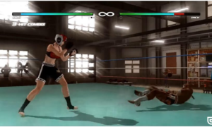 Dead or Alive 5: Last Round PC Download Game for free