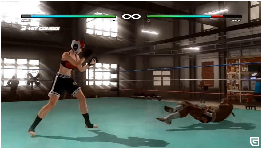 Dead or Alive 5: Last Round PC Download Game for free