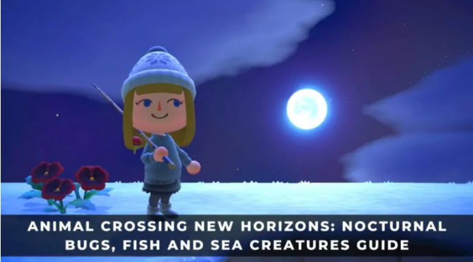 ANIMAL CROSSING NEW ORIZONS: NOCTURNAL BUGS FISH AND SEA CRATURES GUIDE