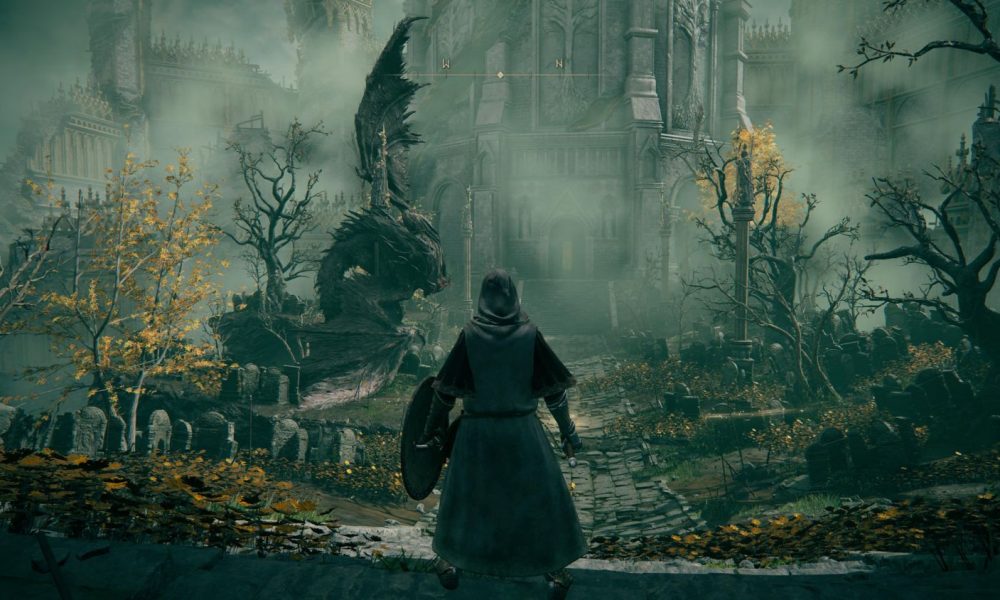 ELDEN RING ULTRAWIDE SUPPORT WHAT TO KNOW