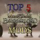 THE BEST MOUNT AND BLADE 2: BANNERLORD MODS