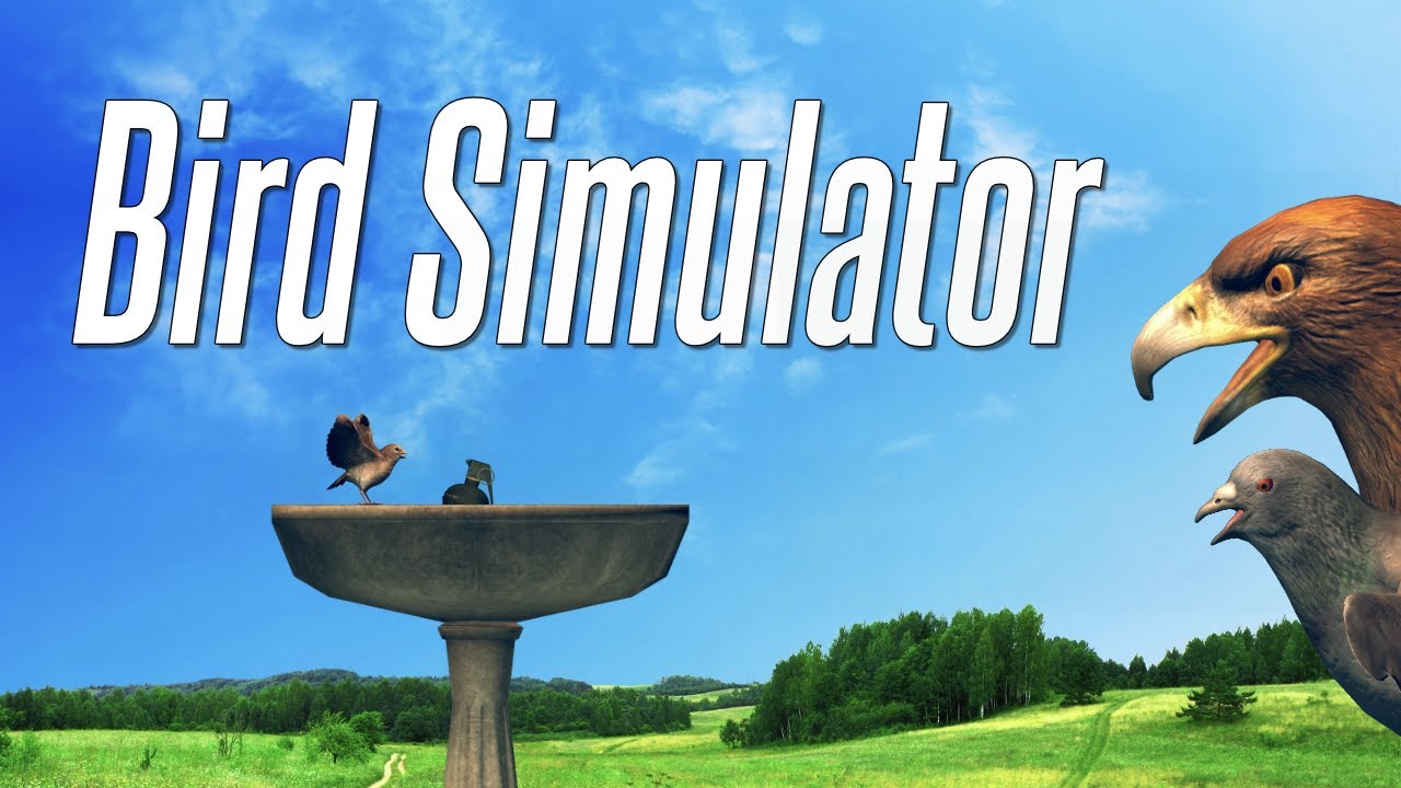 Bird Simulator Version Full Game Free Download