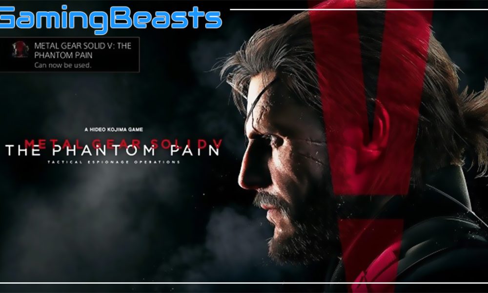 Phantom pain читы