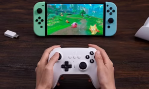8BitDo Pauses