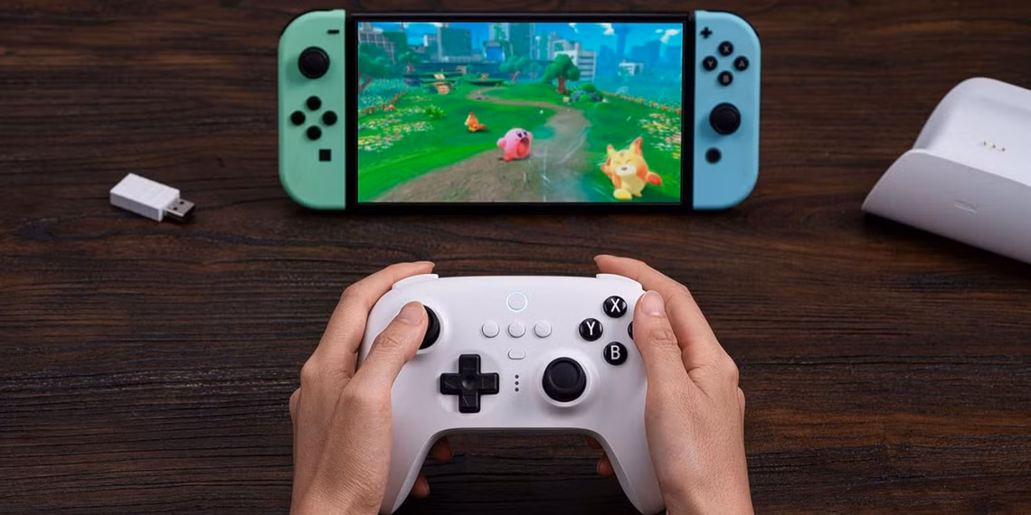 8BitDo Pauses